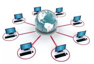 無人超市與鞋批發 港航君的先行探索